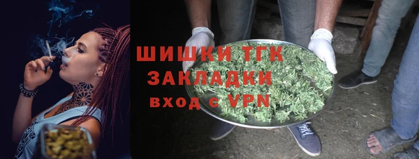 шишки Армянск