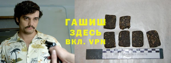 СК Алексин