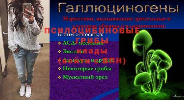 СК Алексин